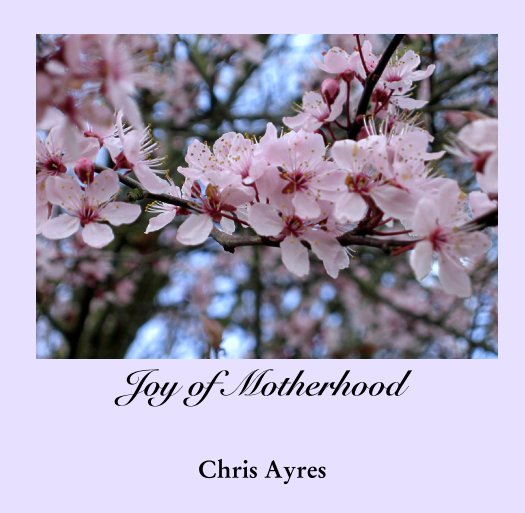 View Joy of Motherhood by Chris Ayres