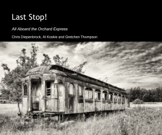 Last Stop! book cover