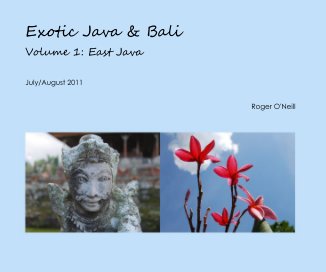 Exotic Java & Bali Volume 1: East Java book cover