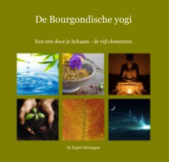 De Bourgondische yogi - 2011 book cover