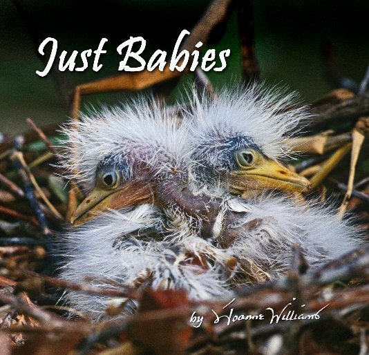 View Just Babies by Joanne Williams