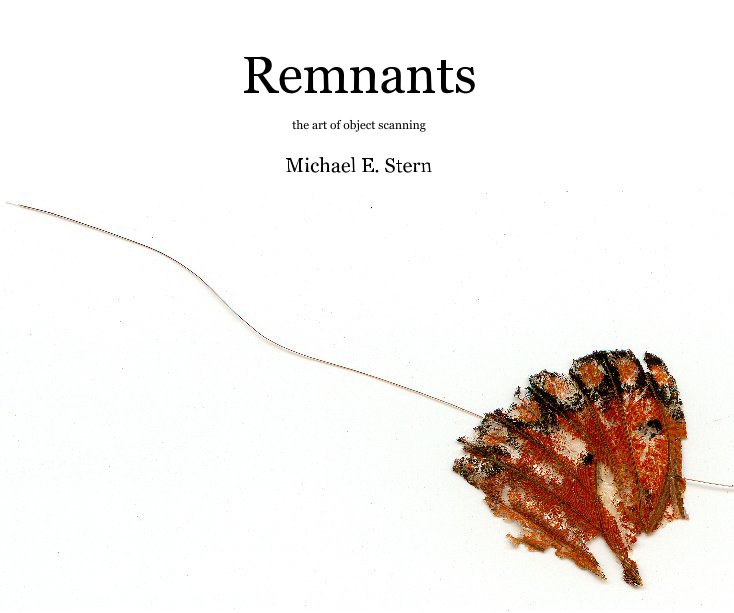 View Remnants by Michael E. Stern
