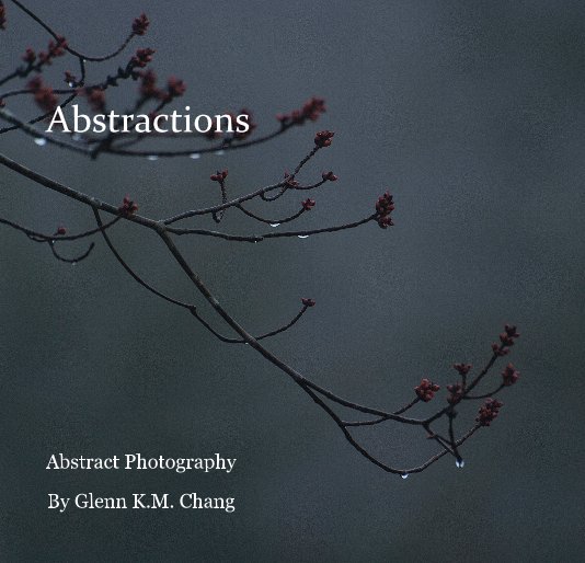 View Abstractions by Glenn K M Chang