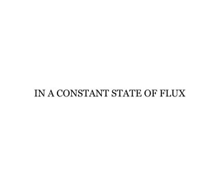 IN A CONSTANT STATE OF FLUX book cover