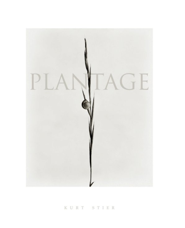 View Plantage by Kurt Stier