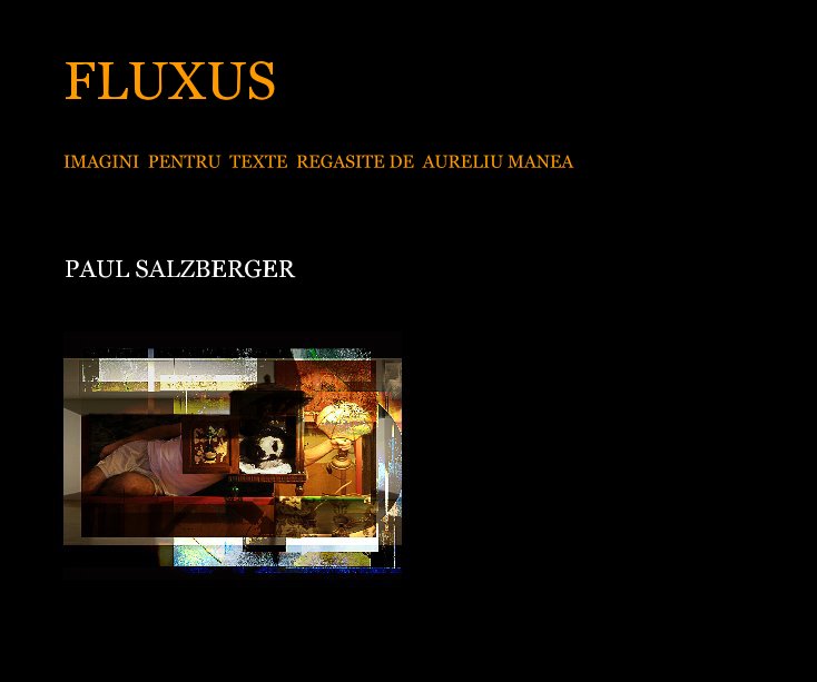 View FLUXUS by PAUL SALZBERGER