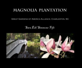 Magnolia Plantation book cover