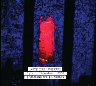 Fete des lumieres - Lyon book cover
