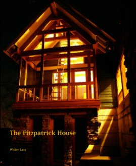 The Fitzpatrick House book cover
