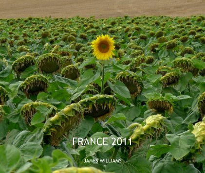 FRANCE 2011 book cover