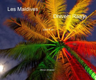 Les Maldives book cover