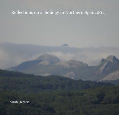 Reflections on a holiday in Northern Spain 2011 book cover