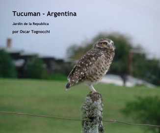 Tucuman - Argentina book cover