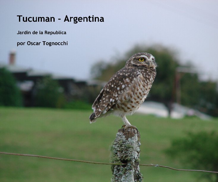 View Tucuman - Argentina by por Oscar Tognocchi