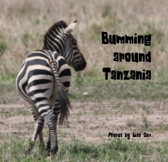 Bumming around Tanzania book cover
