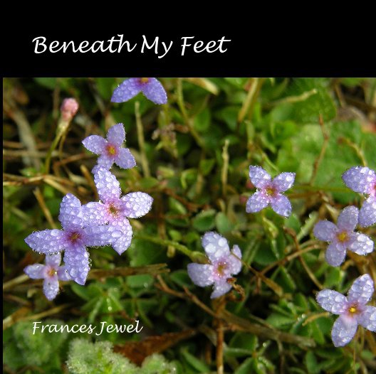Ver Beneath My Feet por Frances Jewel
