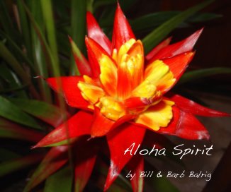 Aloha Spirit book cover