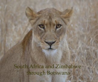South Africa and Zimbabwe through Botswana book cover