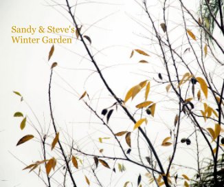 Sandy & Steve's Winter Garden book cover