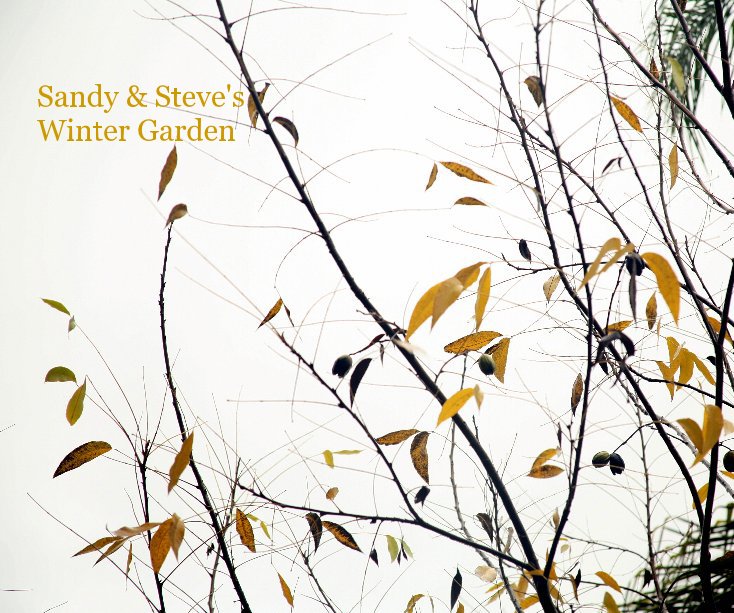 Ver Sandy & Steve's Winter Garden por Paul & Lesley Hulbert
