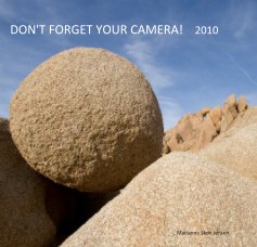 Don't Forget Your Camera! 2010 book cover