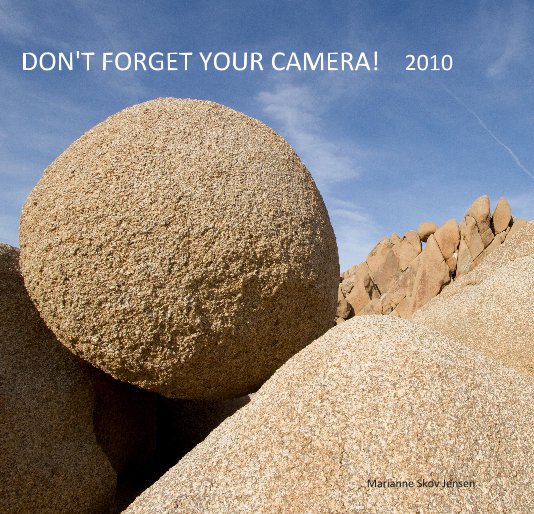View Don't Forget Your Camera! 2010 by Marianne Skov Jensen