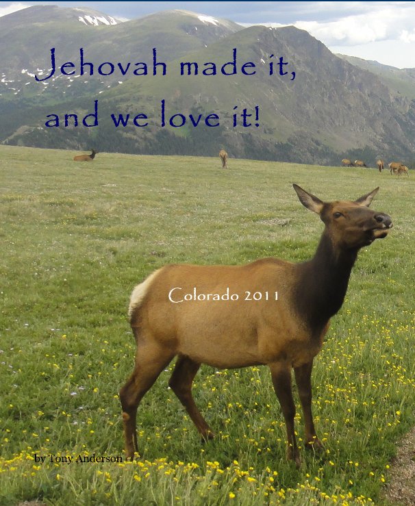View Jehovah made it, and we love it! by Tony Anderson