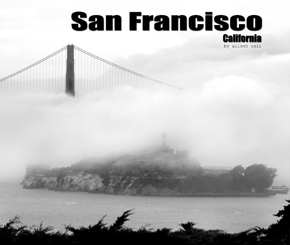 View San Francisco by Alison Cali