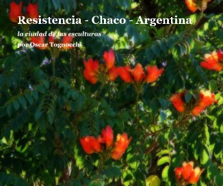 Resistencia - Chaco - Argentina book cover