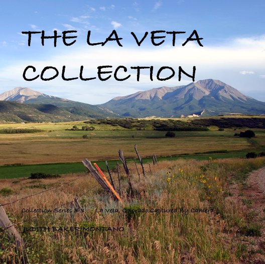 View THE LA VETA COLLECTION by JUDITH BAKER MONTANO