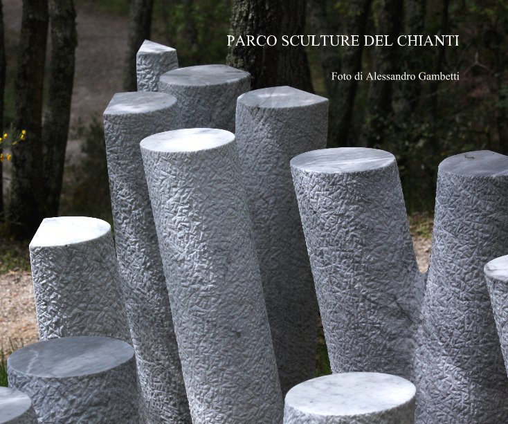 View PARCO SCULTURE DEL CHIANTI by Alessandro Gambetti