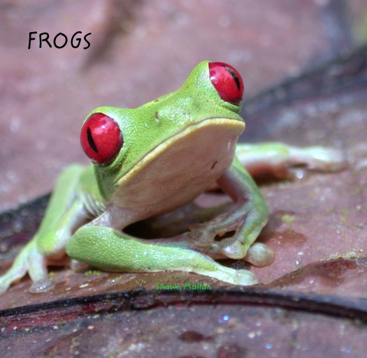 View FROGS by Shawn Mallan