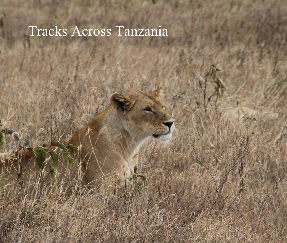 View Tracks Across Tanzania by Warren Hanselman