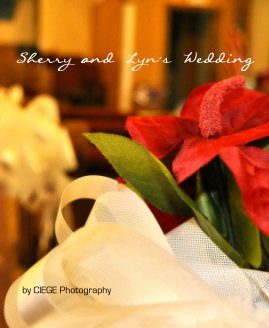 Sherry and Lyn's Wedding book cover