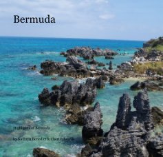 Bermuda book cover
