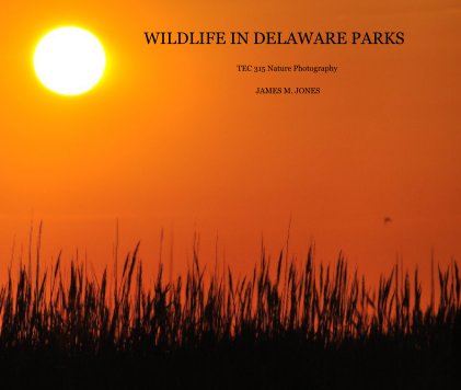 WILDLIFE IN DELAWARE PARKS book cover