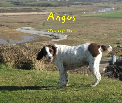 Angus It's a dogs life! book cover