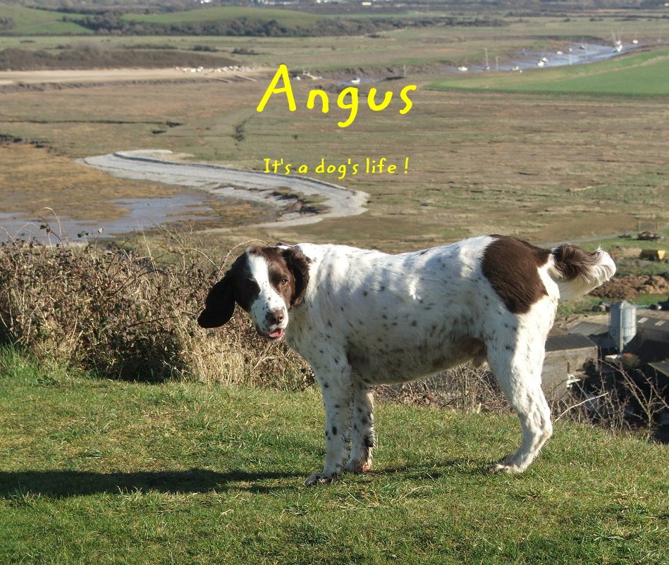 Visualizza Angus It's a dogs life! di Bigmal