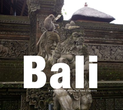 Bali In Pictures book cover