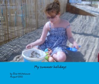 My summer holidays book cover