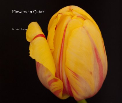 Flowers in Qatar book cover