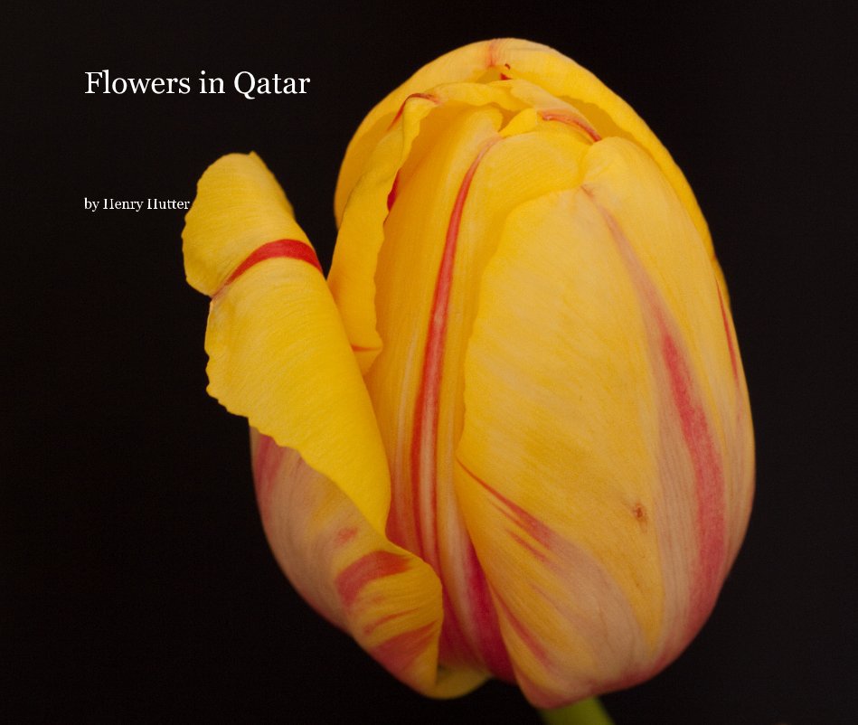 Ver Flowers in Qatar por Henry Hutter