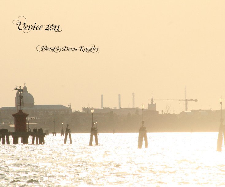 View Venice 2011 by dkingley