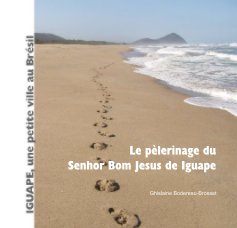 Le pèlerinage du Senhor Bom Jesus de Iguape book cover