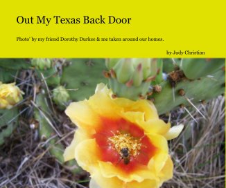 Out My Texas Back Door book cover