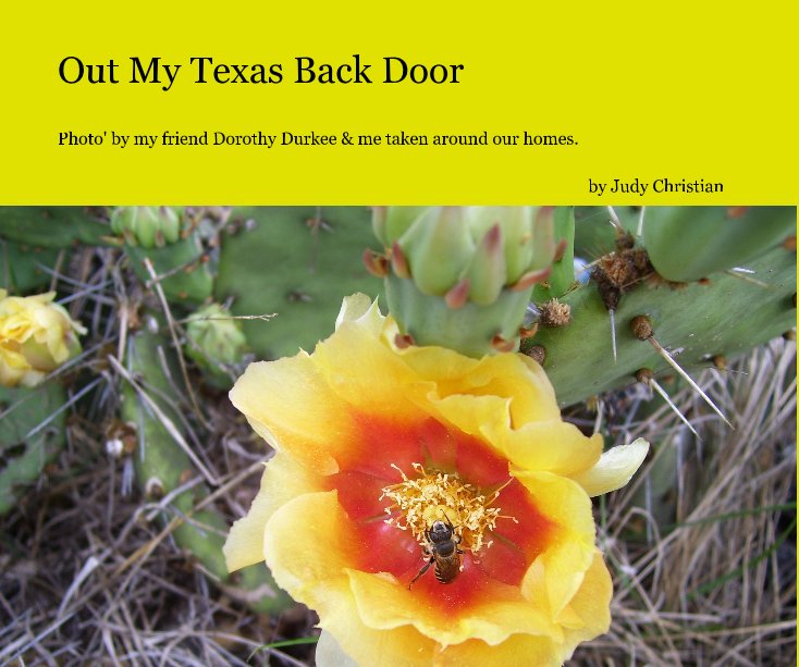 View Out My Texas Back Door by Judy Christian