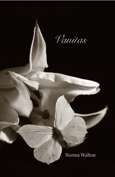 View Vanitas by Norma Walton