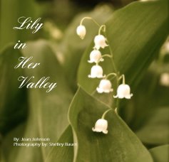 Lily in Her Valley book cover
