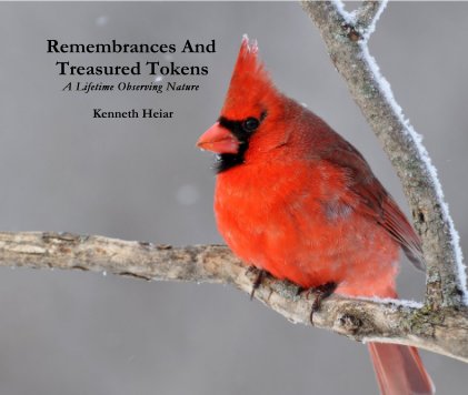 Remembrances And Treasured Tokens A Lifetime Observing Nature book cover