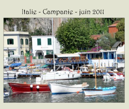 Italie juin 2011 book cover